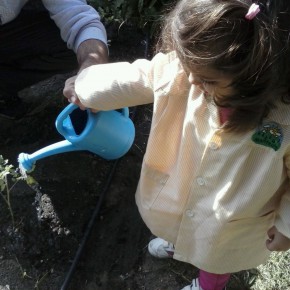 Cs Jerez propone al Gobierno local la puesta en marcha de huertos escolares urbanos en nuestra ciudad junto con Save the Children e IKEA